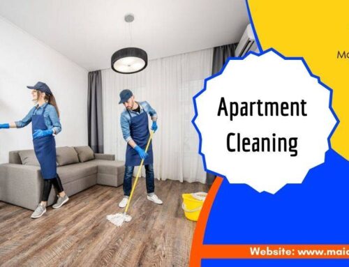 Things That Can Happen if You Don’t Clean Your Apartment Thoroughly