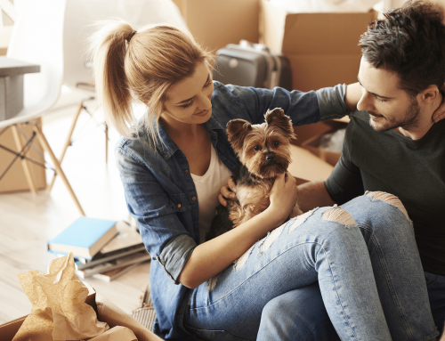 Top 5 Reasons to have apartment cleaned